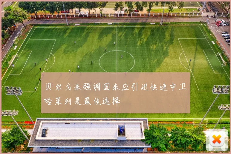 贝尔戈米强调国米应引进快速中卫哈莱利是最佳选择